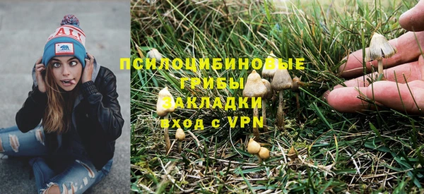 бошки Володарск