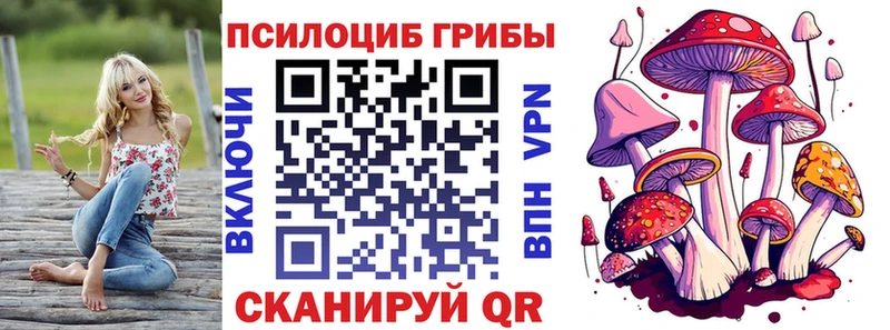 Галлюциногенные грибы Cubensis  Геленджик 