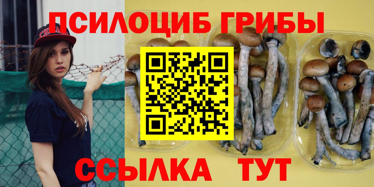 Псилоцибиновые грибы мицелий Геленджик