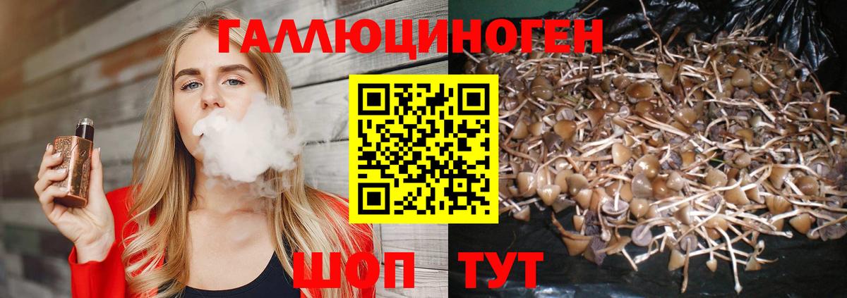 Геленджик  Псилоцибиновые грибы мухоморы  Вход с VPN  Псилоцибиновые грибы мицелий 