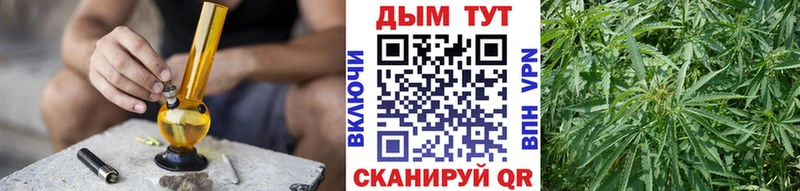 KRAKEN как зайти  Геленджик  Бошки марихуана план 